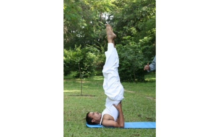 Sarvangasana